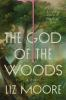 Book cover for The god of the woods.